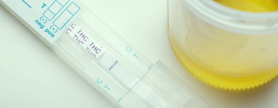 Il CBD è rintracciabile in un test antidroga?